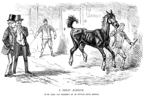 A great bargain. - To be sold - the property of an officer going abroad