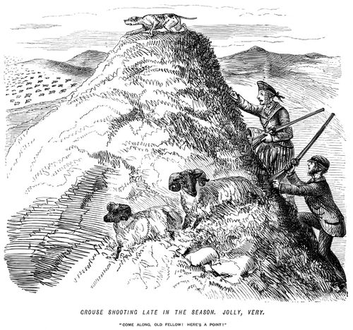 Grouse shooting late in the season. Jolly, very.