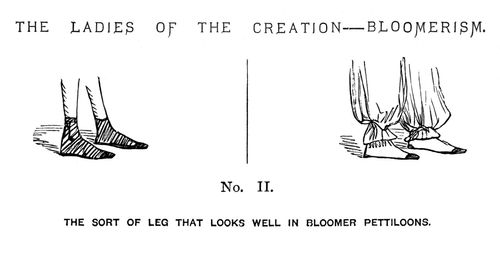 The Ladies of the Creation - Bloomerism. - No. II.