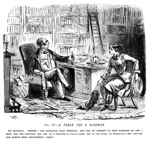 The Ladies of the Creation - Bloomerism. - No. IV. - A poser for a Bloomer