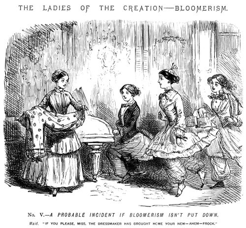 The Ladies of the Creation - Bloomerism. - No. V. - A probable incident if Bloomerism isn't put down.
