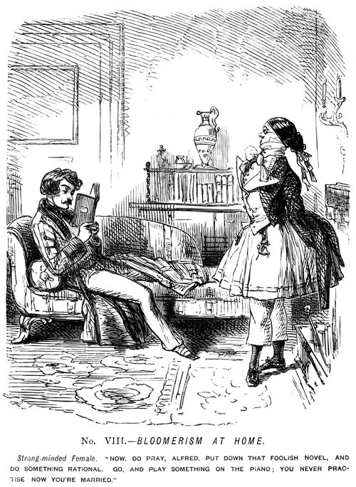 The Ladies of the Creation - Bloomerism. - No. VIII. - Bloomerism at home.