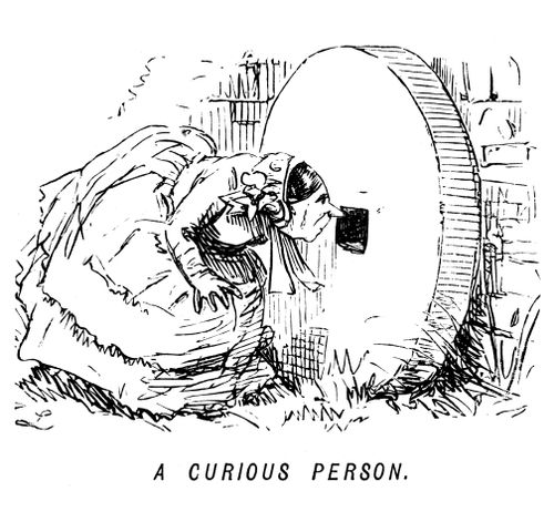 A curious person.