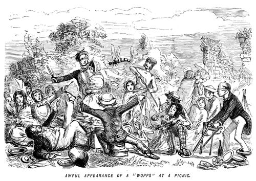 Awful appearance of a 'wopps' at a picnic.