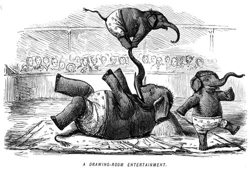 Elephants performing in a circus