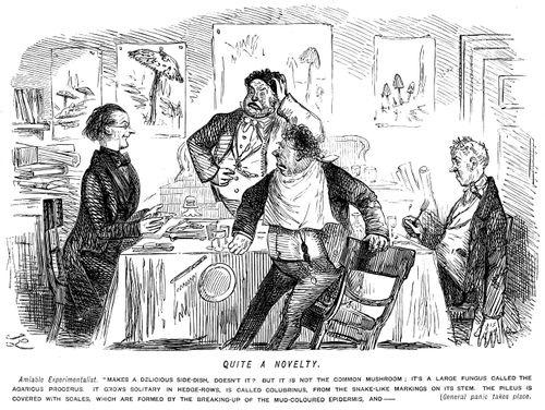 An experimentalist alarms his guests by describing the appearance of the mushrooms in a dish they have just eaten.