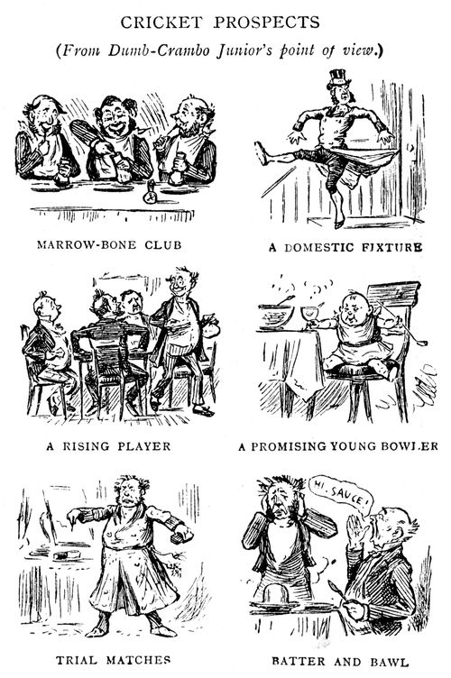 Cricket Prospects.