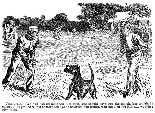 A bull terrier refusing to give a ball back to cricketers.