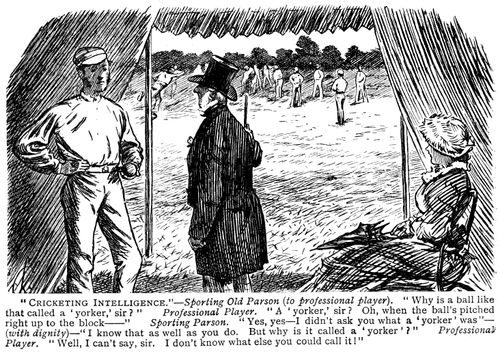 Parson asking a professional player about cricketing terminology.