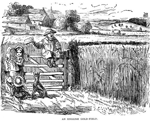 An English Gold-Field