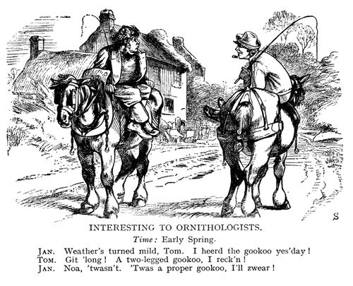 Intersting to Ornitholigists