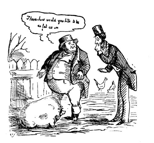Fat Pigs.
