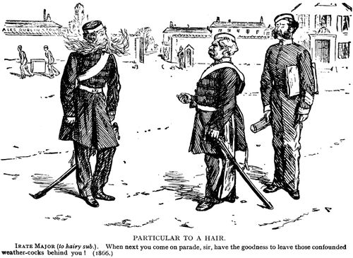 Particular to a Hair.