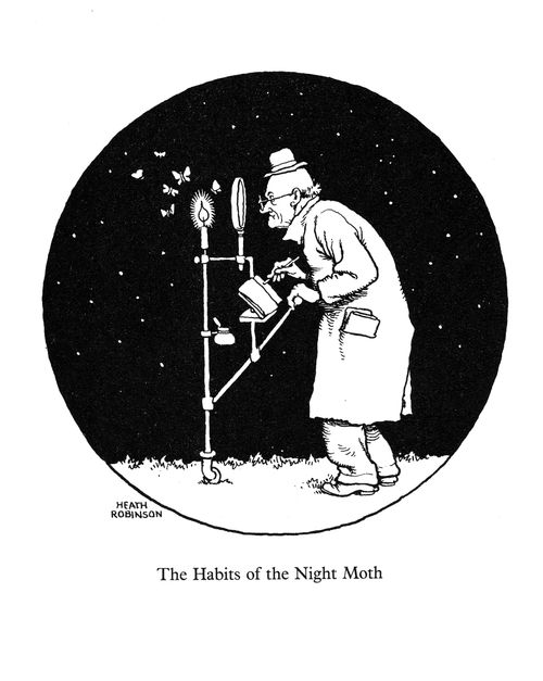 The Habits of the Night Moth