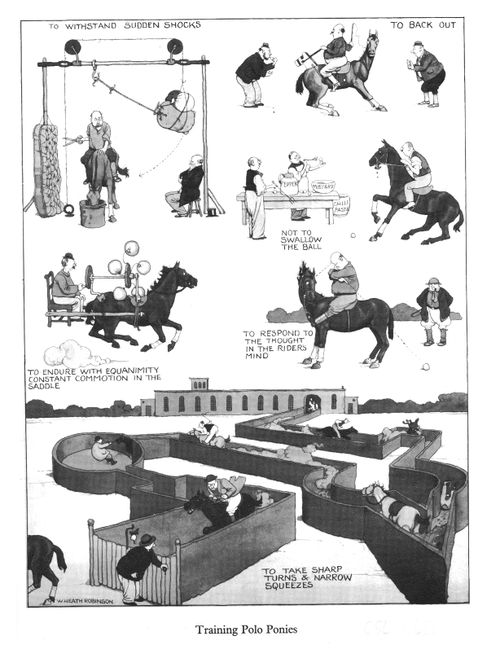 Training Polo Ponies