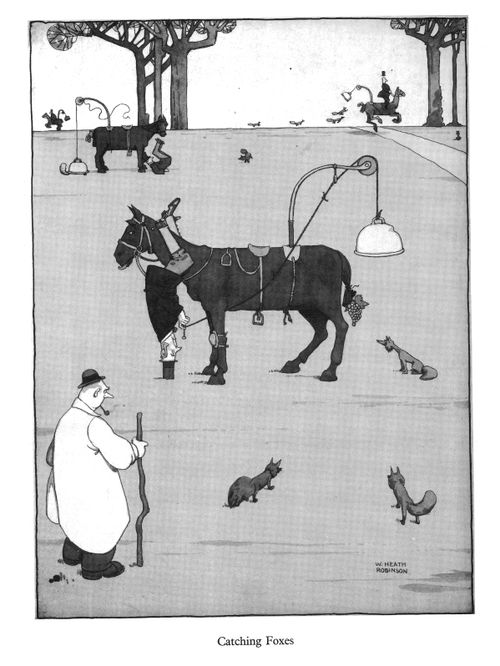 Catching Foxes