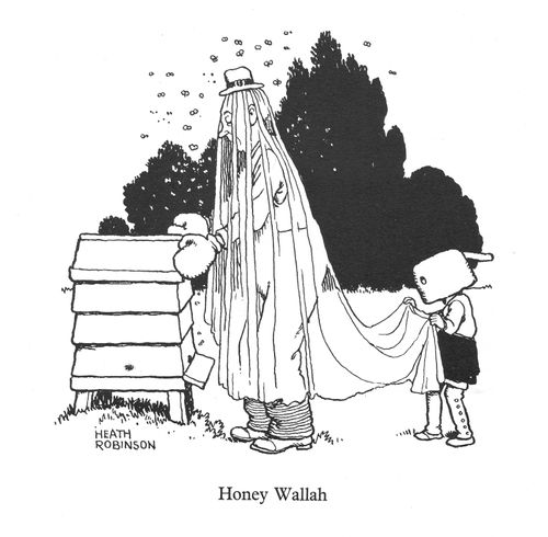 Honey Wallah