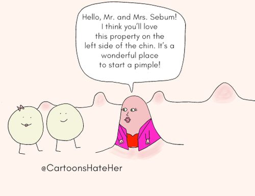 Hello, Mr. and Mrs. Sebum! I think you'll love this property on the left side of the chin. It's a wonderful place to start a pimple."