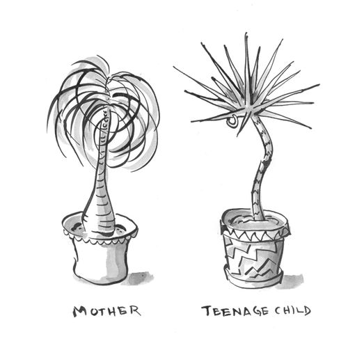 Mother/Teenage Child
