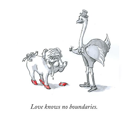 Love knows no boundaries.