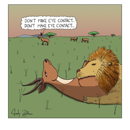 Don't make eye contact... Don't make eye contact...
