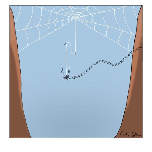 Spider Bungy