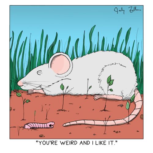 "You're weird and I like it."