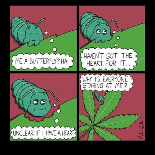 Caterpillar Paranoia