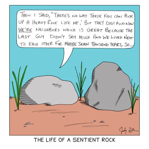 The Life of a Sentient Rock