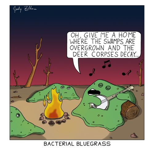 Bacterial Bluegrass 