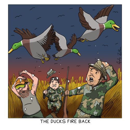 The Ducks Fire Back