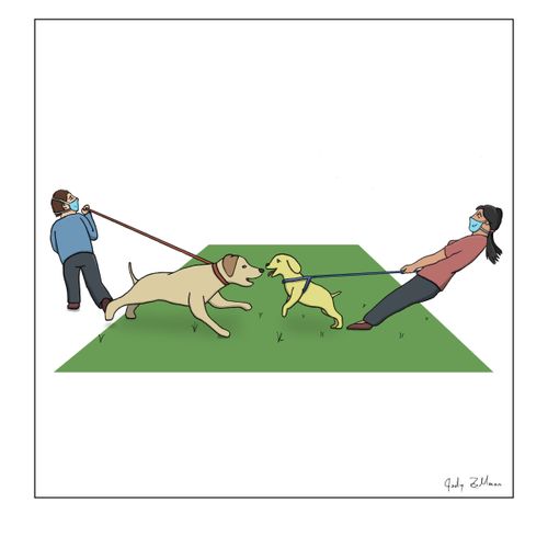 Dogs on Leashes