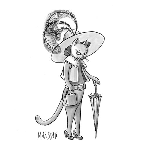 Puss in Heels