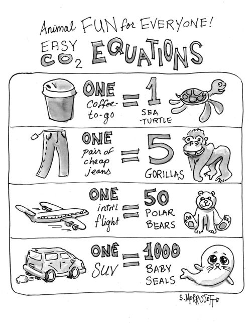 Animal fun for everyone! Easy CO2 Equations.