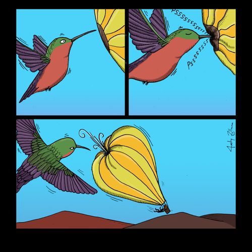 Hummingbird deflates parachute.