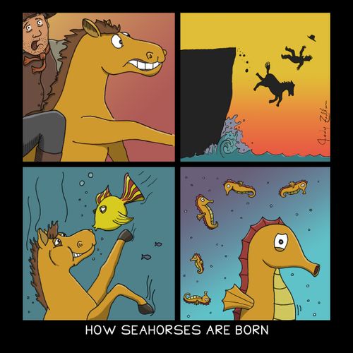 How Seahorses Are Born