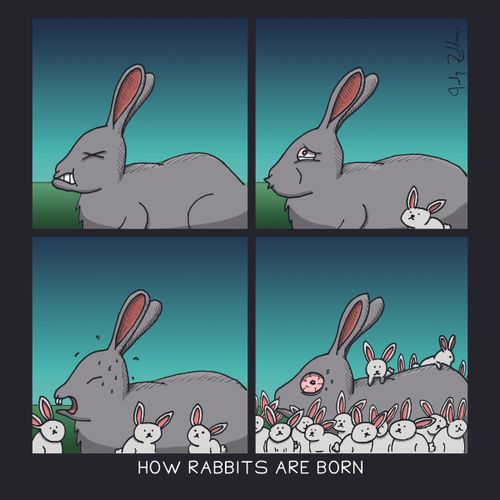 How Rabbits Are Born