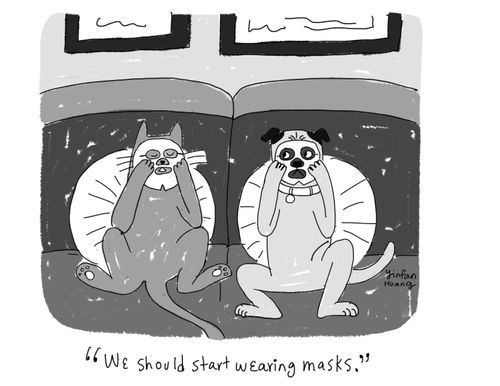 "We should start wearing masks."