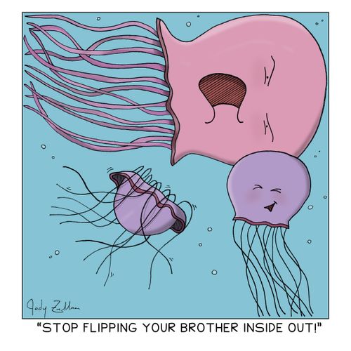 "Stop flipping your brother inside out!"