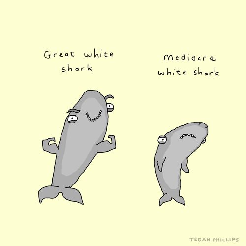 Shark