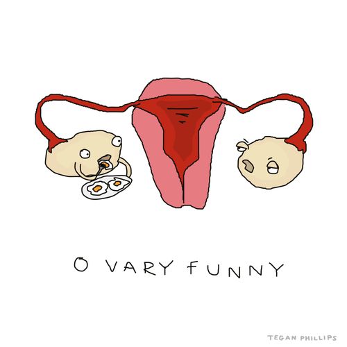 "O Vary funny."
