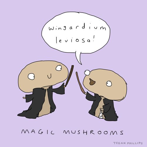 Magic Mushrooms