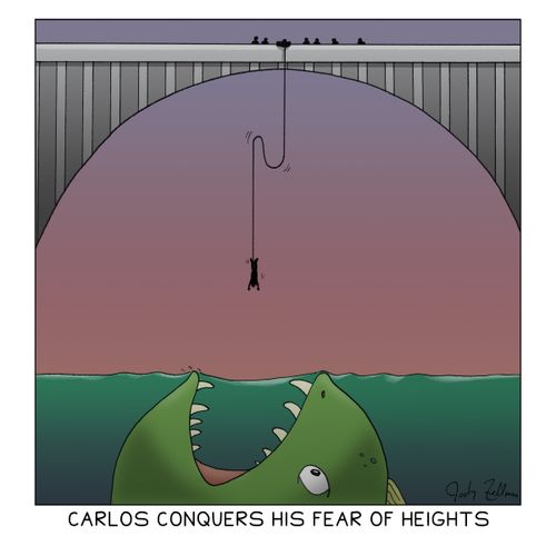 Carlos conquers his fear of heights