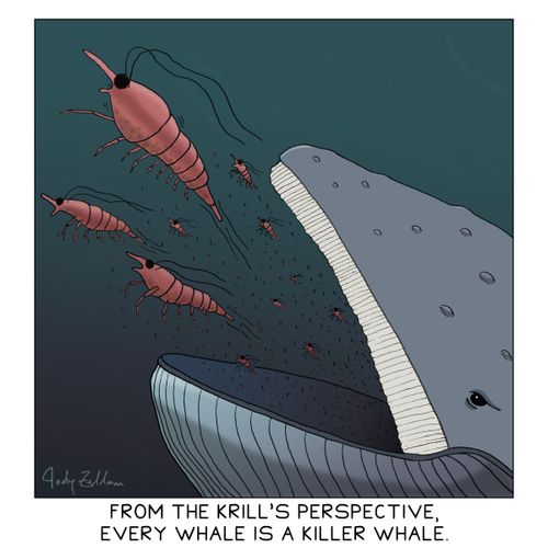 From the Krill's perspective, every whale is a killer whale.