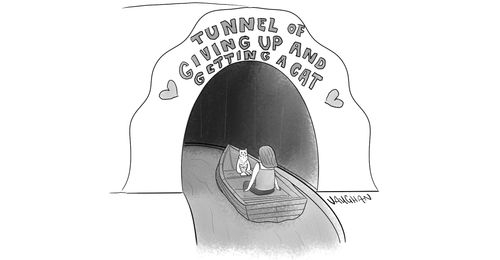 Tunnel of giving up and getting a cat.