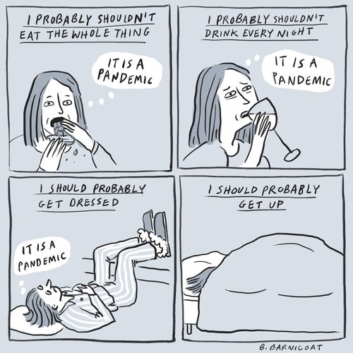 "I probably shouldn't eat the whole thing... it is a pandemic!"