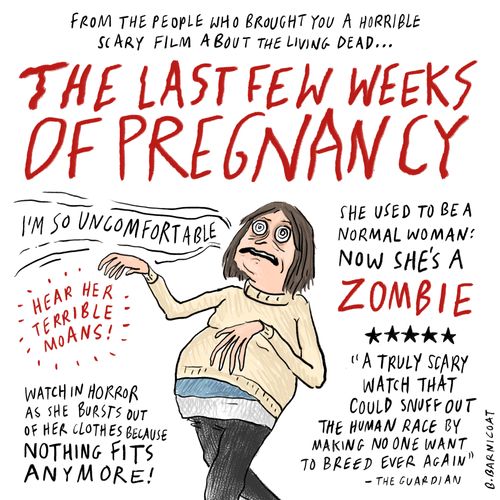 The Last Few Weeks of Pregnancy.