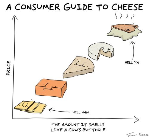 A consumer guide to cheese.