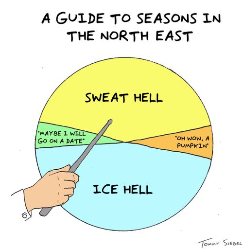 A guide to seasons in the North East