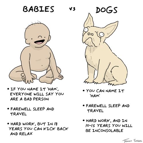 Babies vs. Dogs